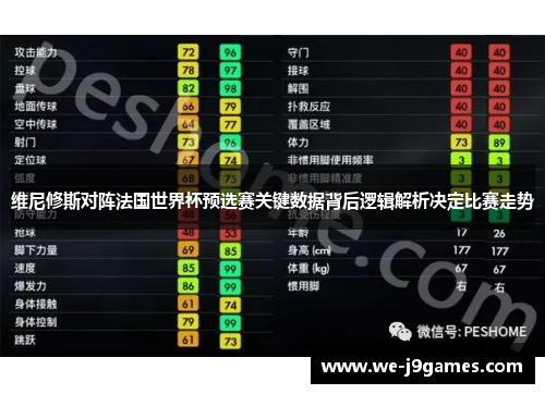 维尼修斯对阵法国世界杯预选赛关键数据背后逻辑解析决定比赛走势
